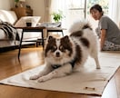 愛犬・愛猫の紹介文を作成します 愛犬・愛猫の紹介文を作成写真とエピソード魅力を文章に イメージ5