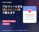 SNSのプロフィール文を整えます プロフィール3案＋ひとこと5案をお届け イメージ1