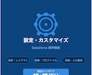 Salesforceの設定・カスタマイズをします やりたいことを教えてください！最適な設定を提案・実施します！ イメージ1