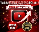 YouTube日本語コメント10件追加しますます リアル日本人ユーザーが動画に合った自然なコメントを投稿 イメージ1