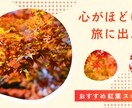 バナーなどWeb画像制作いたします Canvaを使用して伝わる画像を作成いたします！ イメージ10