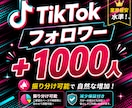 TikTokのフォロワー1000人拡散します 【８月限定最安値】衝撃のコスパで減少保証付き！ イメージ6