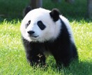 日本語⇨中国語、中国語⇨日本語の翻訳を対応します 様々な場面での文書を翻訳します！ イメージ1