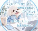 YouTube再生数を1000回増加します 初心者さん大歓迎！大切な動画のスタートダッシュをお手伝い♪ イメージ2