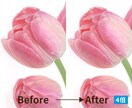 低画質・小さい写真を自然にくっきり高画質化します AI×プロレタッチで写真を高解像度化 イメージ7