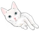 猫のイラスト描きます 猫ちゃんを2頭身にデフォルメして可愛く描いています イメージ4