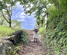 無駄な保険を見直して受け取る資産を増やします ただ金額を下げればいいわけでない！プロが見たら一目瞭然 イメージ3