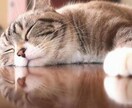 1枚500円　思い出の写真をAIで動画にします ペットの写真、ウェディングフォトなどをAIで動画にします。 イメージ2