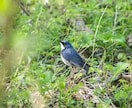 イメージワーク苦手な方のためのカウンセリングします イメージワークではなく話を聞いて！のためのカウンセリング イメージ9