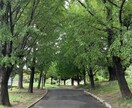 仕事運☆転職の時期・適職・人間関係占います 仕事の辛さ、人間関係のモヤモヤなど愚痴聞きなどもお話聞きます イメージ5
