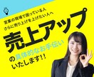 営業コンサル、サポート請け負います 実際の営業の仕方一緒に考えます。 イメージ1