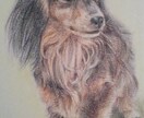 ペットの似顔絵を色鉛筆で描きます 大好きなペットとの思い出を色鉛筆画にしてみませんか？ イメージ3