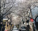 アルバイトからの信頼の得かた教えます 店を、グループをまとめなければいけないあなたにオススメ！ イメージ1