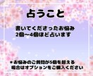 複数ジャンルのお悩み/仕事/人間関係/他占います 仕事と恋愛/転職と人間関係など複数のお悩みにお答えします イメージ3