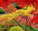 悩みや吐き出せない気持ちを寄り添ってお聴きします 普段、気持ちを溜め込んで吐き出せずにいるあなたへ！おススメ！ イメージ4
