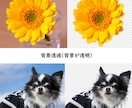 画像の白抜き・背景透過・ロゴ貼りなど加工いたします ECサイトの画像編集/合成/色変え/ショップのロゴ貼り イメージ4