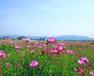 投資での悩み事を聞きます 都会生活から田舎生活を実現！！大自然で投資生活！ イメージ2