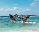 沖縄本島、八重山の事なら分かる範囲教えます 綺麗な海、山に自然豊富な沖縄でのんびり楽しもう！ハイサイ！ イメージ2