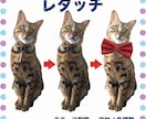 画像の切り抜き・レタッチ・アレンジ致します ECサイト登録画像などご相談ください イメージ3