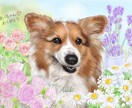 ペット肖像画A3【犬・猫胸から上】をお描きします ご満足いただけるまで修正無制限。心を込めてお描きいたします。 イメージ1