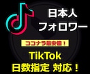 TikTok日本人フォロワーが増えるよう宣伝します +20人★ほぼ減少なし★ティックトック拡散・宣伝・日本 イメージ1