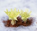 どんなお話しでも心理カウンセラーがお聴きします ずっと一人で悩んでいるあなたへ イメージ2