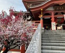 大人女子への活力になります 相談何でも聞きます！心おきなく話しましょう！！ イメージ1