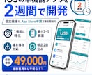 iOSの単機能アプリを2週間で開発します 固定価格・2週間でApp Store申請できる形まで イメージ1