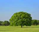 トークルーム相談！一緒にあなたの悩みに向き合います ★どんなことでもお話し下さい！肯定的に受け入れます★ イメージ3