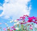 不安、モヤモヤの【気持ちの整理】お手伝いします 不安な気持ち、モヤモヤを吐き出して楽になってくださいね。 イメージ5
