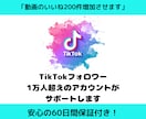 Tiktokのいいねを200件増やします ☆安心の60日保証☆いいねが増えれば動画が回る！ イメージ1