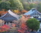 桜、紅葉など京都の動画、写真、レポート代行します 京都の気になるお店、場所確認代行　まずはなんでもご相談 イメージ7