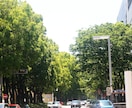 背景や広告に！商用OKな風景写真素材を提供します ブログ・SNS・動画背景に！商用利用可能の風景写真をお届け！ イメージ5