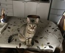 過去に病院に行くほど鬱になっています 今辛いひと、苦しい人、いつでも相談してください。 イメージ5