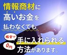 情報商材を無料＆お徳に即入手する秘密を公開します お徳に情報をゲットするためのおすすめアドバイス！ イメージ1