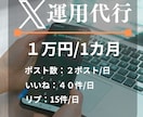 X（Twitter）｜60投稿＋1カ月運用します 文章＆Xのプロによるポスト作成と運用をお手ごろ価格でお届け！ イメージ1