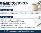 商品の魅力が伝わる説明文を3点作成します 接客・販売経験を活かし、読みやすい商品紹介文に イメージ3