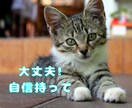 相手の気持ちを知って賢い恋愛を！恋の不安なくします 好きになっていい？騙されてる！今後について考えるきっかけに イメージ2