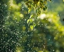 気功技術「ピエタ」で、過去の嫌な記憶を癒します 嫌な記憶を癒し、あなた本来の魅力とエネルギーを取り戻します イメージ2