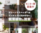 グリーンアドバイザーが1点で変わる植物を提案します 【5名様限定価格！】育てやすく、空間に映える観葉植物を提案！ イメージ1