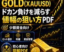 FX -ゴールドGOLD少額資金の値幅管理教えます GOLD(XAUUSD)少額資金で値幅を狙うFX考え方を解説 イメージ2
