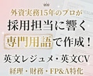 外資転職の英文レジュメを作成・添削します 外資経理・財務・FP&A特化！採用担当に響く専門用語で作成！ イメージ1