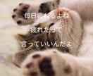 女性限定♡寝る前に話したくなる声で寄り添います こころ安眠ダイアル♡眠れない日々を送っているあなたへ イメージ7
