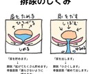 尿もれ、ウエスト痩せ「骨盤底筋体操」します 尿もれ、湯もれ、骨盤臓器脱、産後のボディメイク、膣トレに イメージ2