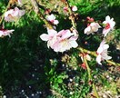 相性を占います 気になる人との相性を占ってみたい方ぜひお試しください！ イメージ1