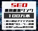 悪用厳禁！怒涛の１００万バックリンクを提供します プロ御用達の裏リンク施策！使い方はアイデア次第！ イメージ1