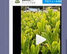 スマホ対応のホームページ作ります 修正や更新も気軽に対応します。 イメージ2