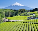 静岡県の写真・動画出張撮影承ります 静岡全域へ出張撮影！写真・動画のプロが高品質に撮影します イメージ1