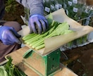 おしゃれに、食べたくなる料理写真を撮影します ブランドの世界観に合わせて一緒に作りましょう！ イメージ8