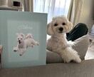 ペットのくすみカラー背景キャンバスアート制作します 多頭飼い、うさぎ、ハムスター、鳥も大歓迎！プレゼントにも イメージ1